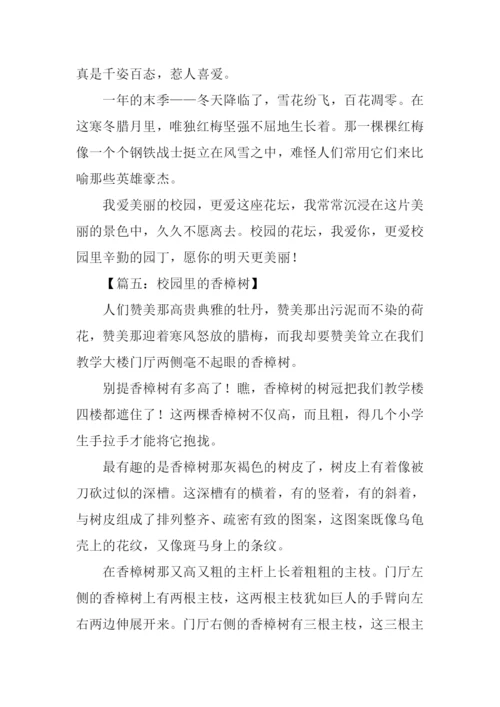 描写校园风景的作文800字.docx