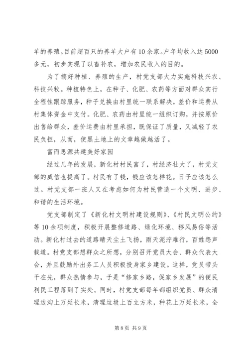 村党支部典型事迹 (4).docx