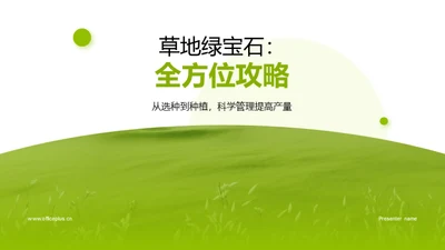 草地绿宝石：全方位攻略