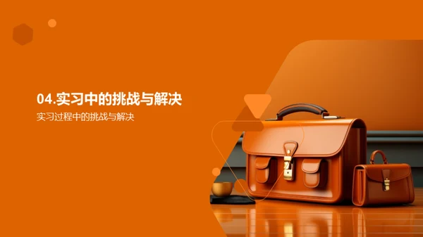 实习生涯全景解析