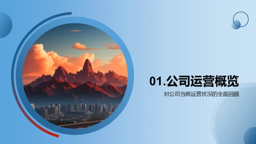 公司历程与前瞻