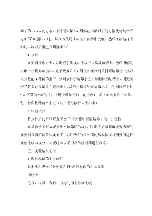 霉菌实验报告