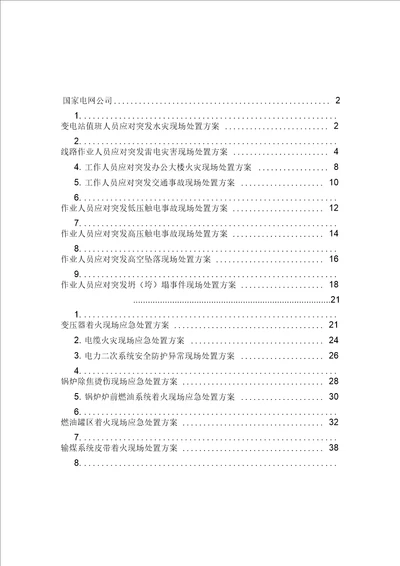 电力电网典型事故现场处置方案范例