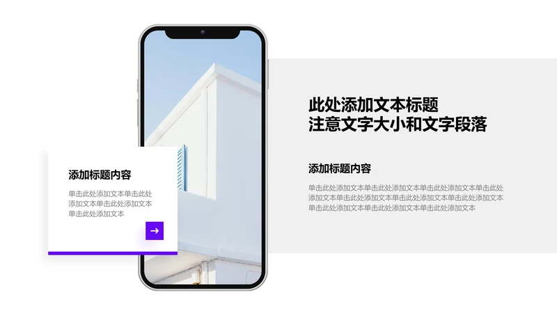 截图说明-紫色商务风2项总分图