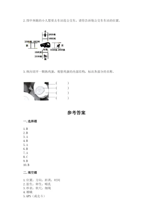 教科版三年级下册科学期末测试卷及参考答案.docx
