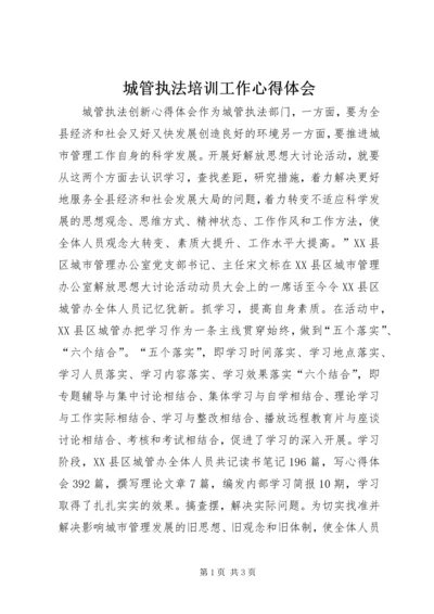 城管执法培训工作心得体会 (5).docx