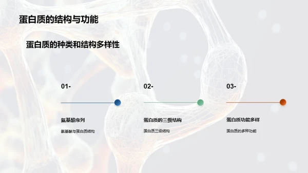 生物分子的结构与功能