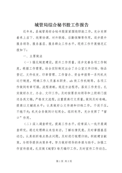 城管局综合秘书股工作报告_1.docx