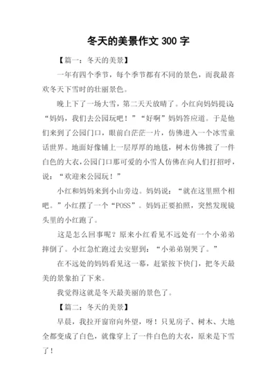 冬天的美景作文300字.docx