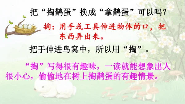23祖先的摇篮（课件）