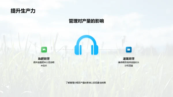 稻田科学种植