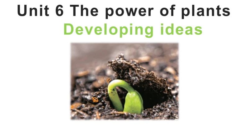 Unit 6 The power of plants 第3课时 Developing ideas课件