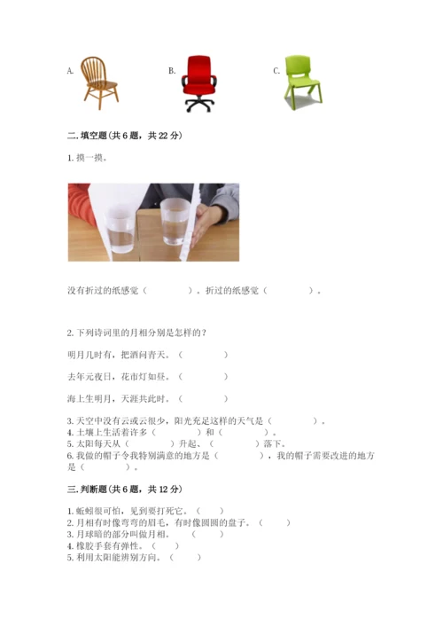 教科版小学二年级上册科学期末测试卷【考点精练】.docx