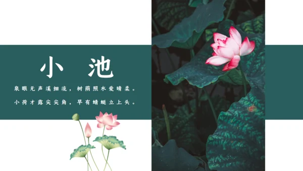 夏雨荷通用PPT模板
