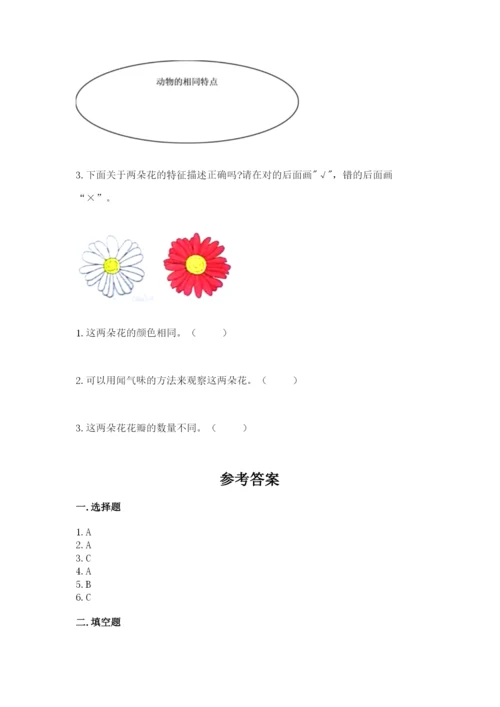 教科版一年级下册科学期末测试卷附答案【实用】.docx