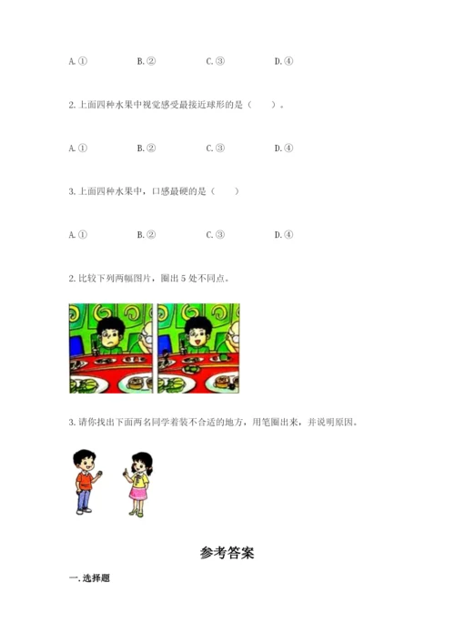 教科版二年级下册科学期末测试卷（历年真题）word版.docx
