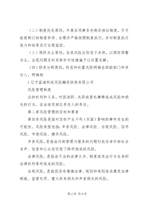 XX公司风险管理制度.docx