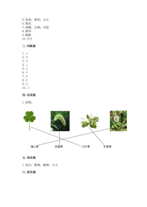 教科版科学一年级上册期末测试卷及1套参考答案.docx