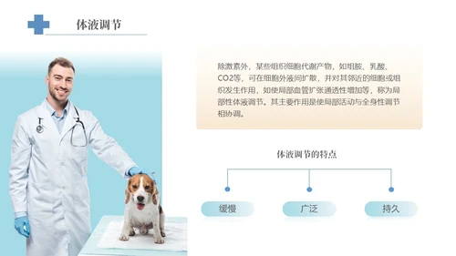 实拍风宠物解剖生理宠物解剖生理讲座PPT