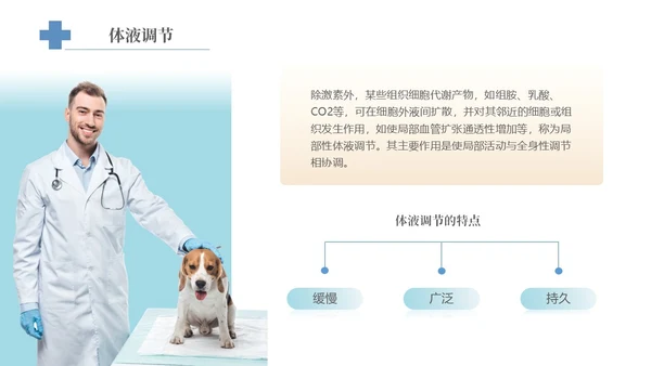 实拍风宠物解剖生理宠物解剖生理讲座PPT
