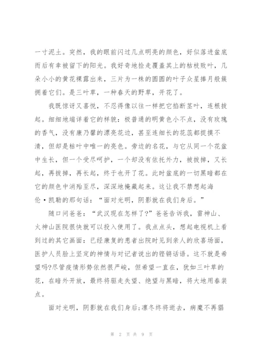 快乐的春节作文300字5篇.docx
