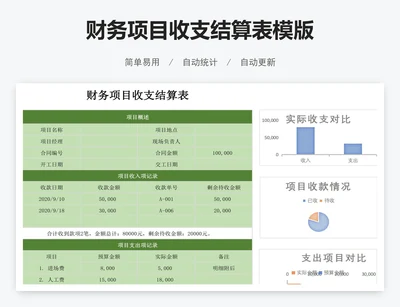 财务项目收支结算表模版
