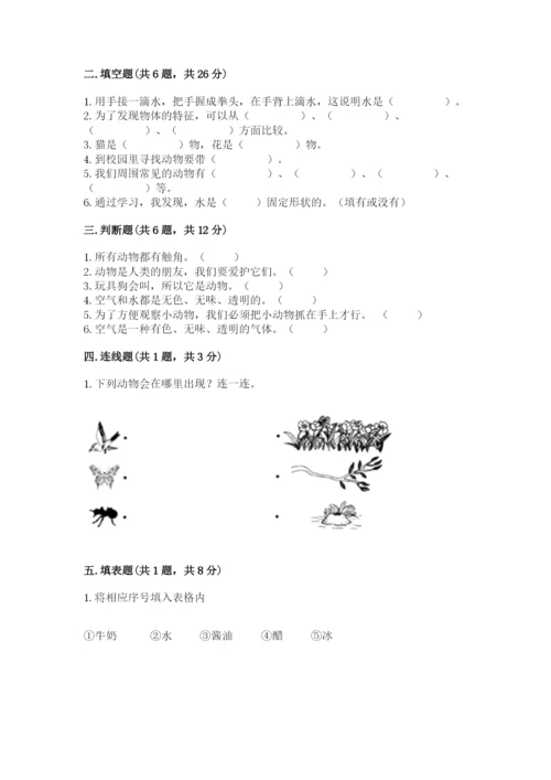 教科版小学科学一年级下册期末测试卷（夺分金卷）.docx