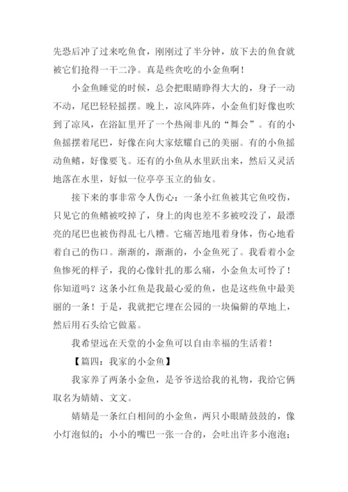 我家的小金鱼作文350字.docx