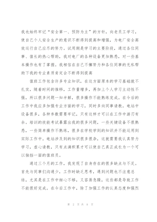 新员工入职试用期工作总结.docx