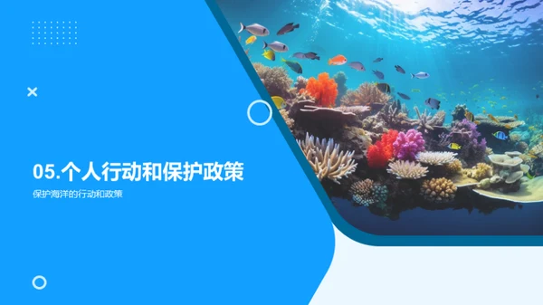 蓝色行动：海洋保护篇