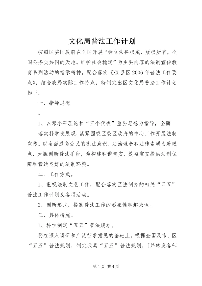 文化局普法工作计划 (11).docx