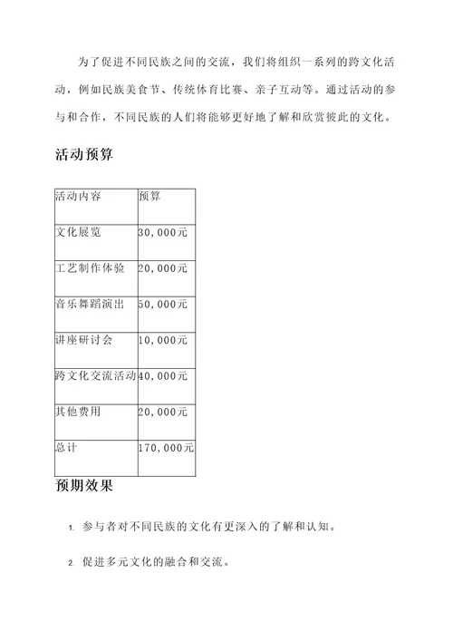 民族交流项目活动方案