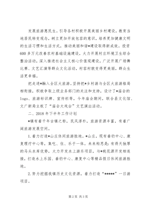 乡镇某年上半年旅游工作总结_1.docx