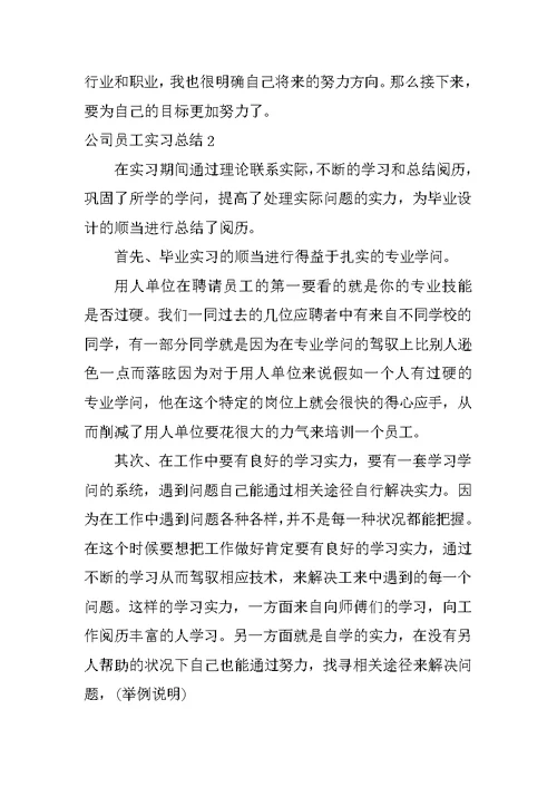 公司员工实习总结