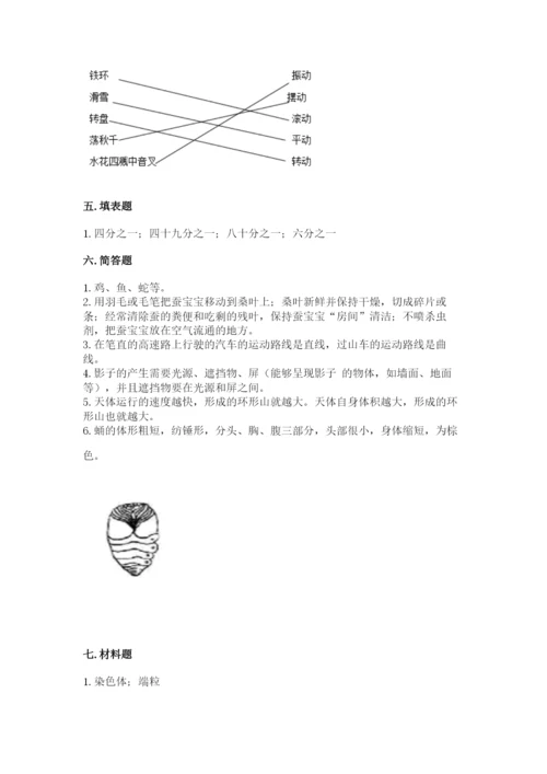 教科版小学科学三年级下册期末测试卷及完整答案（夺冠系列）.docx