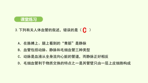 第四单元-第四章-第二节-血流的管道——血管课件-2024-2025学年七年级生物下学期人教版(20