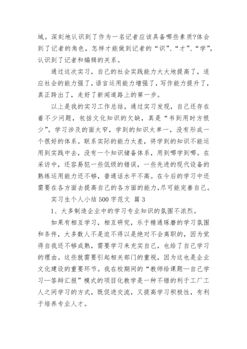 实习生个人小结500字范文.docx