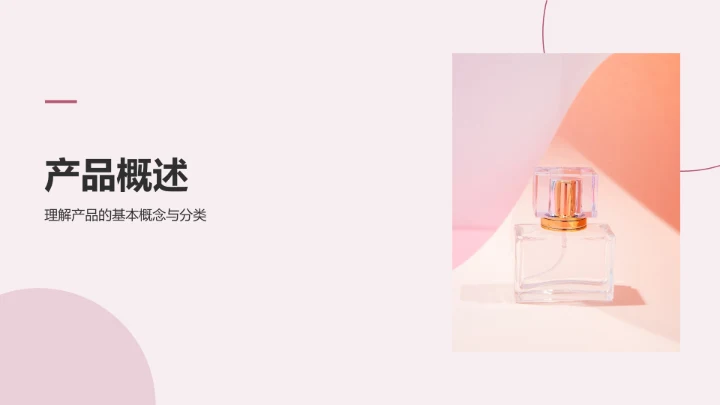 棕色摄影风通用行业产品介绍PPT模板