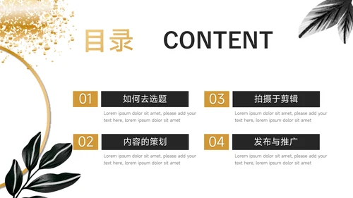 黑金文艺高端短视频运营教程PPT模板