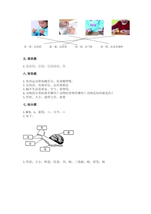 教科版小学科学一年级下册期末测试卷附参考答案【达标题】.docx