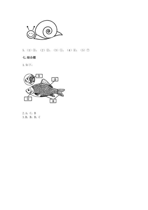 教科版小学科学一年级下册期末测试卷及参考答案（综合题）.docx