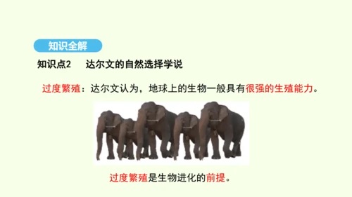 7.3.3生物进化的原因课件-人教版生物八年级下册(共37张PPT)