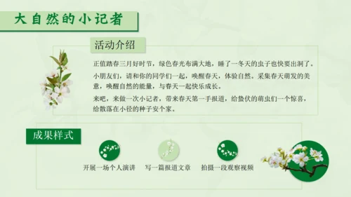 惊蛰淡绿色二十四节气实践教学课件通用PPT模板