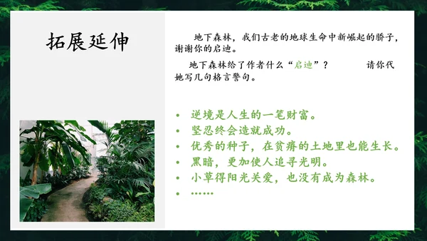 地下森林作家张抗抗作品解读PPT课件