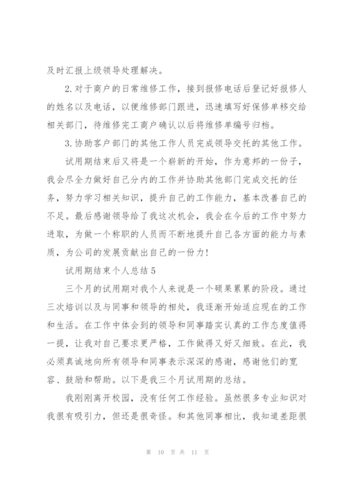 试用期结束个人总结范文.docx