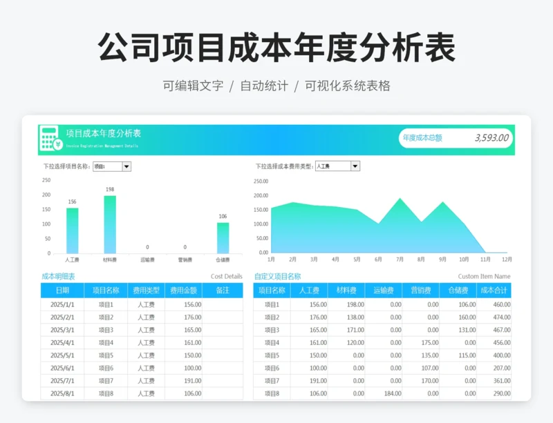 公司项目成本年度分析表