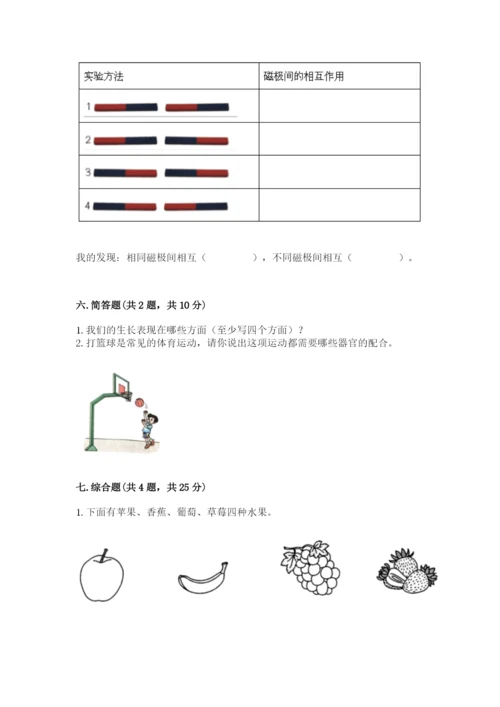 教科版二年级下册科学知识点期末测试卷（考点梳理）.docx