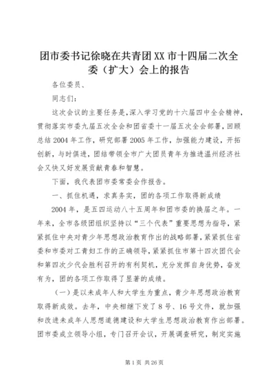 团市委书记徐晓在共青团XX市十四届二次全委（扩大）会上的报告.docx