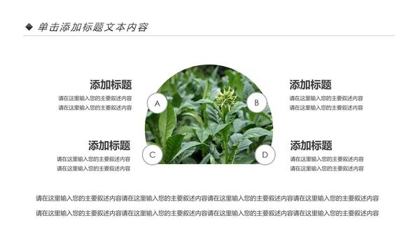 中国人寿保险公司年中工作总结工作计划PPT