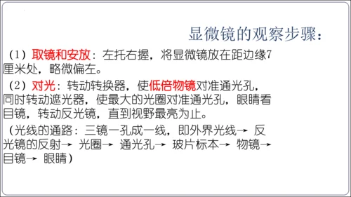 【2023秋人教七上生物期中复习考点梳理串讲+临考押题】第一章 细胞是生命活动的基本单位（串讲课件）